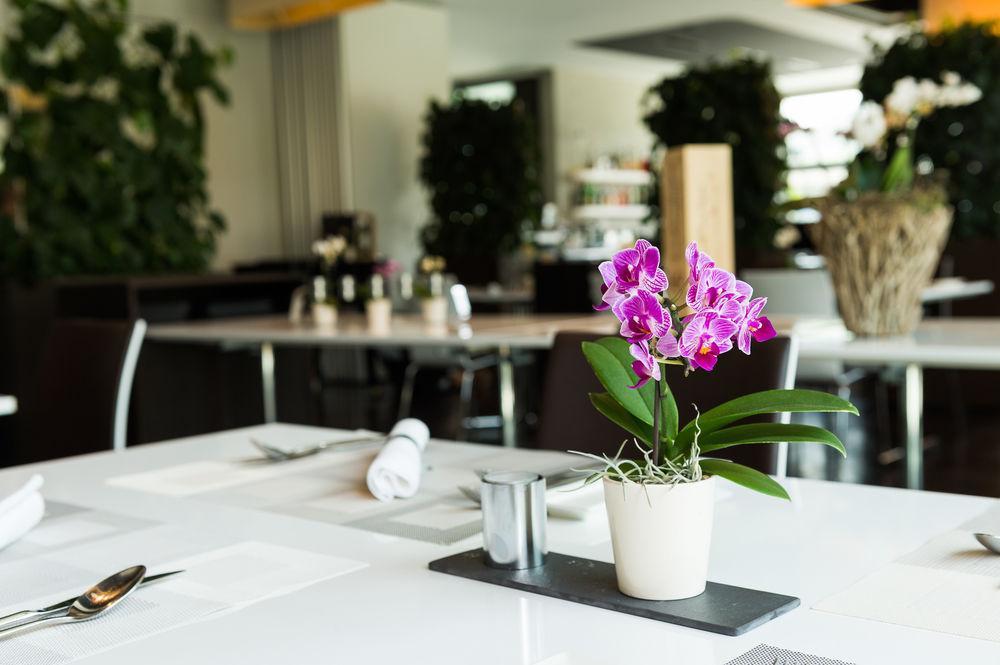Hotel Apart - Welcoming L Urban Feel L Design Risch-Rotkreuz Экстерьер фото